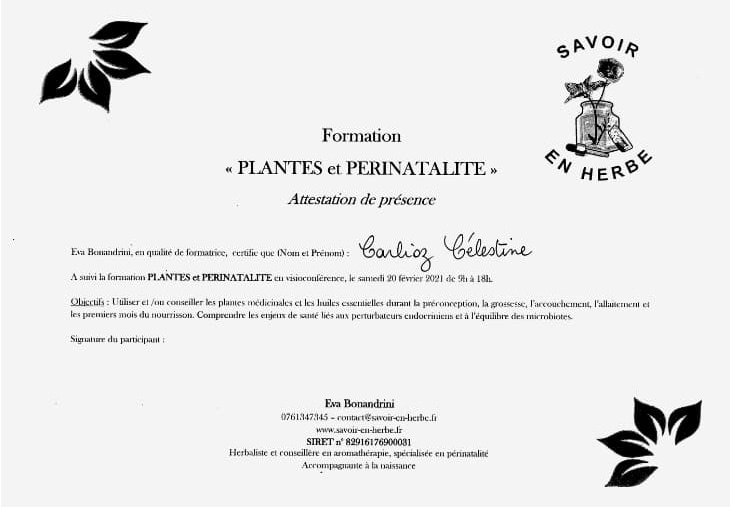 Formation plantes et périnatalité